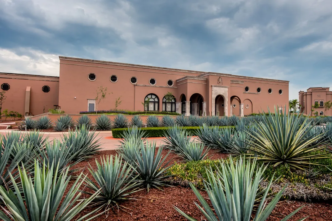 PATRÓN® TEQUILA FURTHER ELEVATES ITS WORLD-CLASS HACIENDA WITH THE INTRODUCTION OF FRANCISCO ALCARAZ BARREL ROOM 
