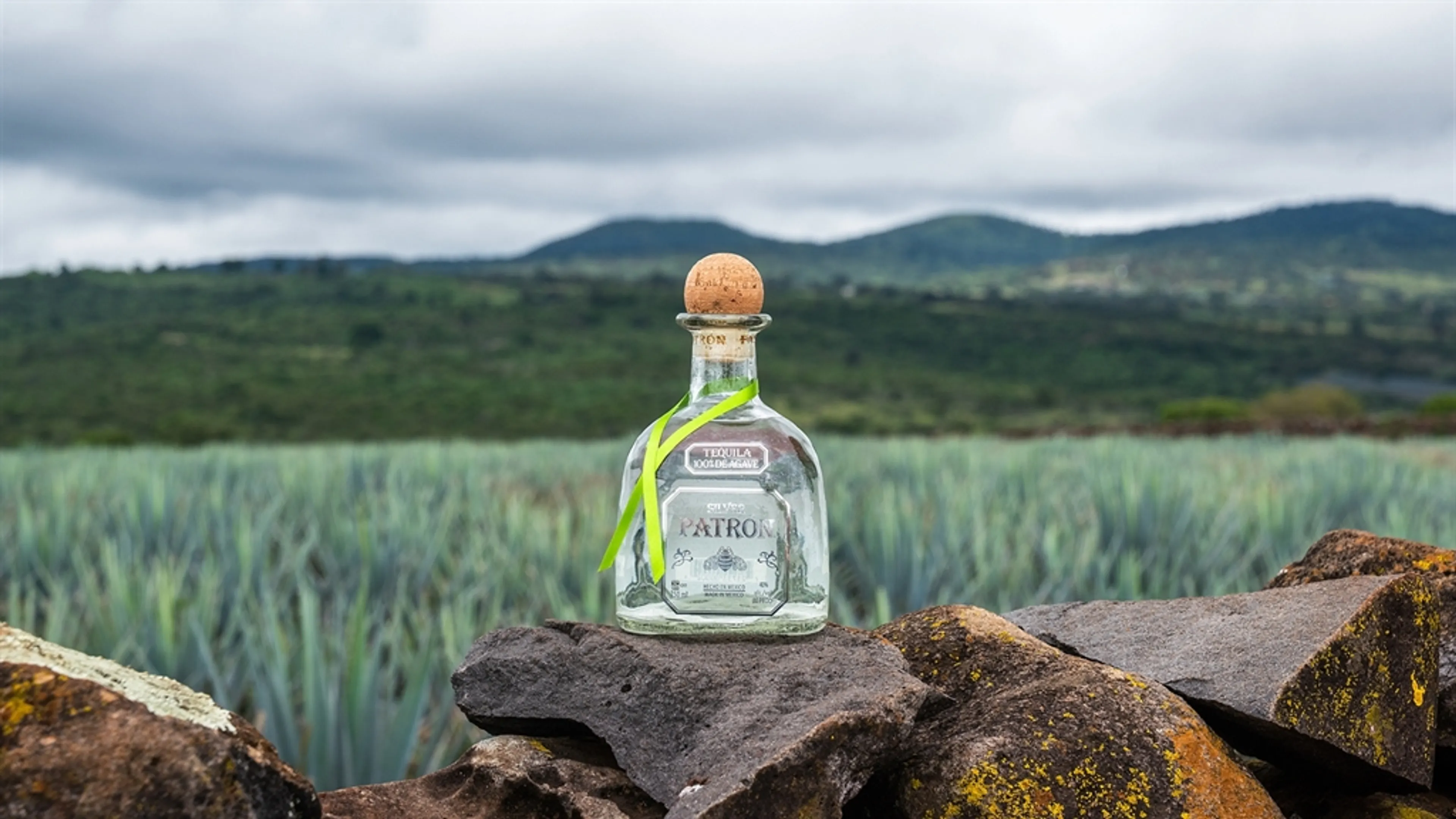 PATRÓN Proudly Unveils Additive-Free Verification from Tequila Matchmaker