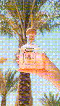 PATRÓN EL ALTO TAKES OVER COACHELLA AND STAGECOACH MUSIC FESTIVALS, TURNING COACHELLA VALLEY INTO THE #PATRONDESERT