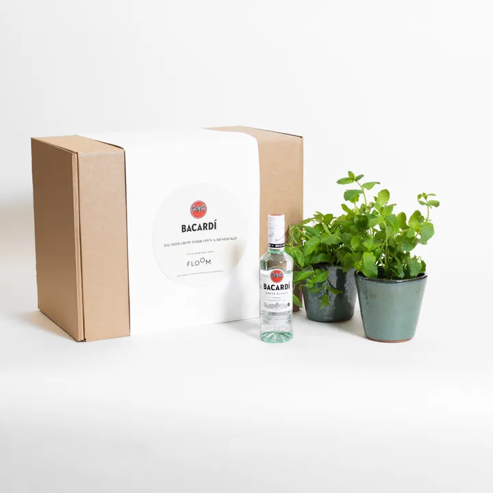 BRING THE GARDEN TO YOUR GLASS AT YOUR NEXT AL FRESCO SOIRÉE WITH ‘GROW-YOUR- OWN' GARNISH KITS FROM BACARDI AND FLOOM