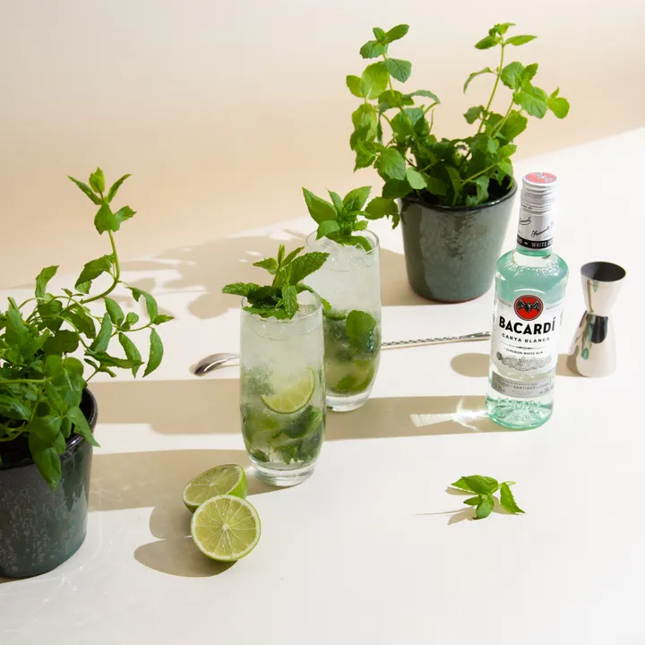 BRING THE GARDEN TO YOUR GLASS AT YOUR NEXT AL FRESCO SOIRÉE WITH ‘GROW-YOUR- OWN' GARNISH KITS FROM BACARDI AND FLOOM