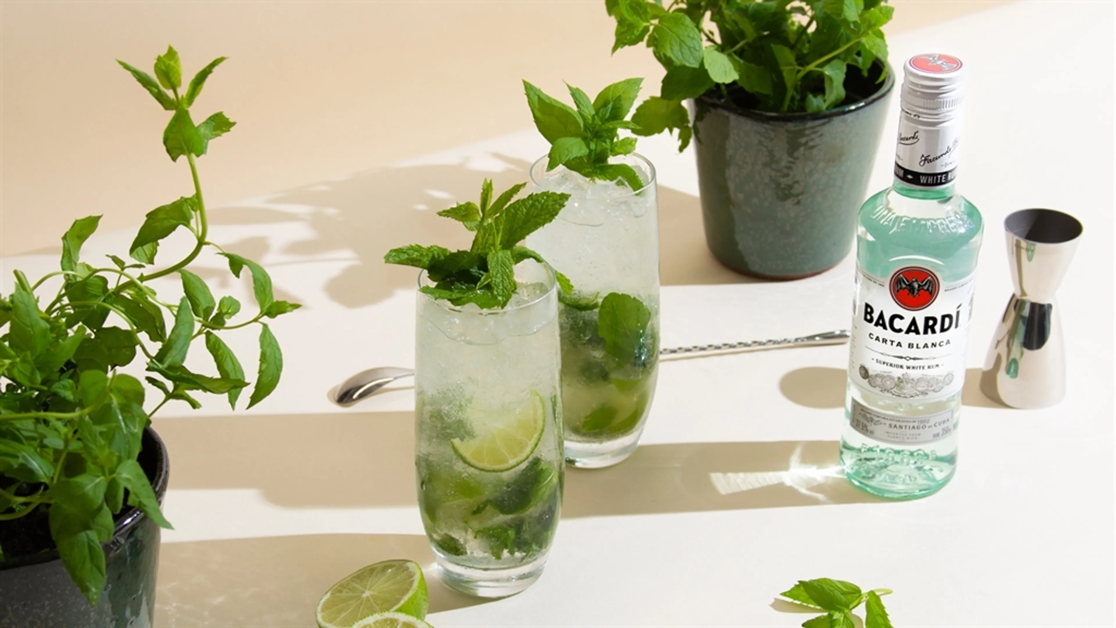 Bring the Garden to Your Glass at Your Next Al Fresco Soirée with 'Grow-Your-Own' Garnish Kits From BACARDI and Floom