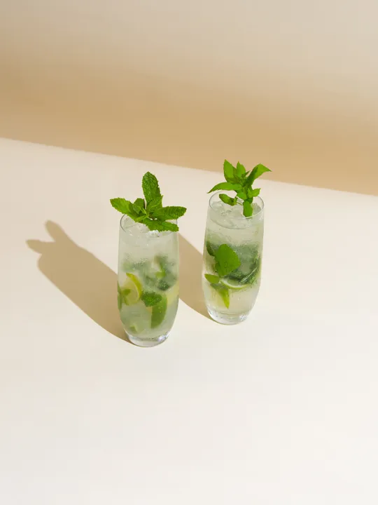 BRING THE GARDEN TO YOUR GLASS AT YOUR NEXT AL FRESCO SOIRÉE WITH ‘GROW-YOUR- OWN' GARNISH KITS FROM BACARDI AND FLOOM