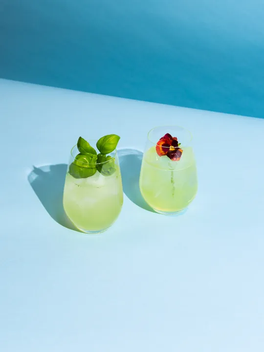 BRING THE GARDEN TO YOUR GLASS AT YOUR NEXT AL FRESCO SOIRÉE WITH ‘GROW-YOUR- OWN' GARNISH KITS FROM BACARDI AND FLOOM