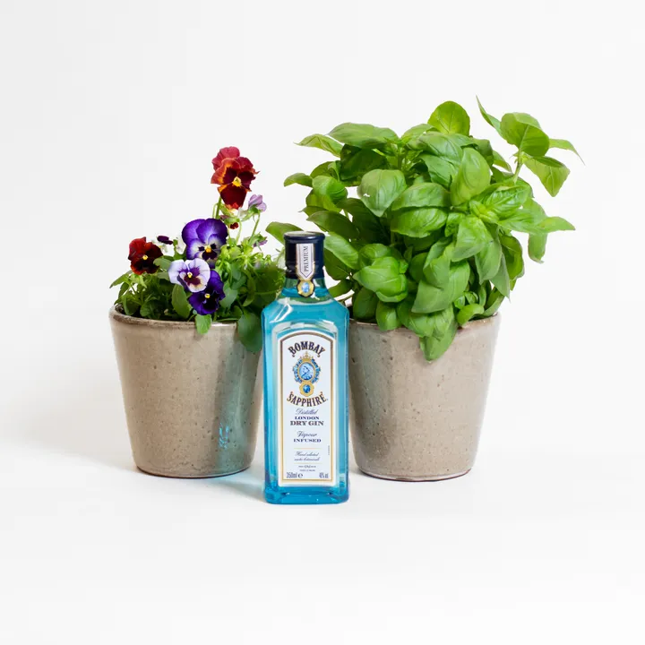 BRING THE GARDEN TO YOUR GLASS AT YOUR NEXT AL FRESCO SOIRÉE WITH ‘GROW-YOUR- OWN' GARNISH KITS FROM BACARDI AND FLOOM
