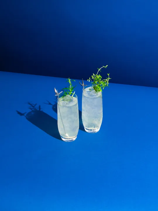 BRING THE GARDEN TO YOUR GLASS AT YOUR NEXT AL FRESCO SOIRÉE WITH ‘GROW-YOUR- OWN' GARNISH KITS FROM BACARDI AND FLOOM