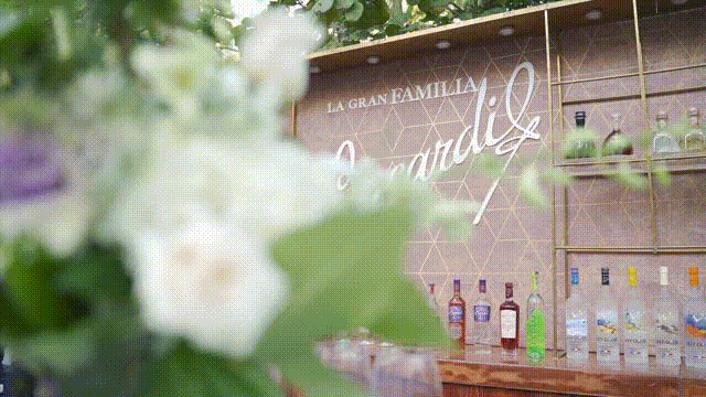 BACARDI SPIRIT FORWARD SUMMIT 2019 HIGHLIGHTS