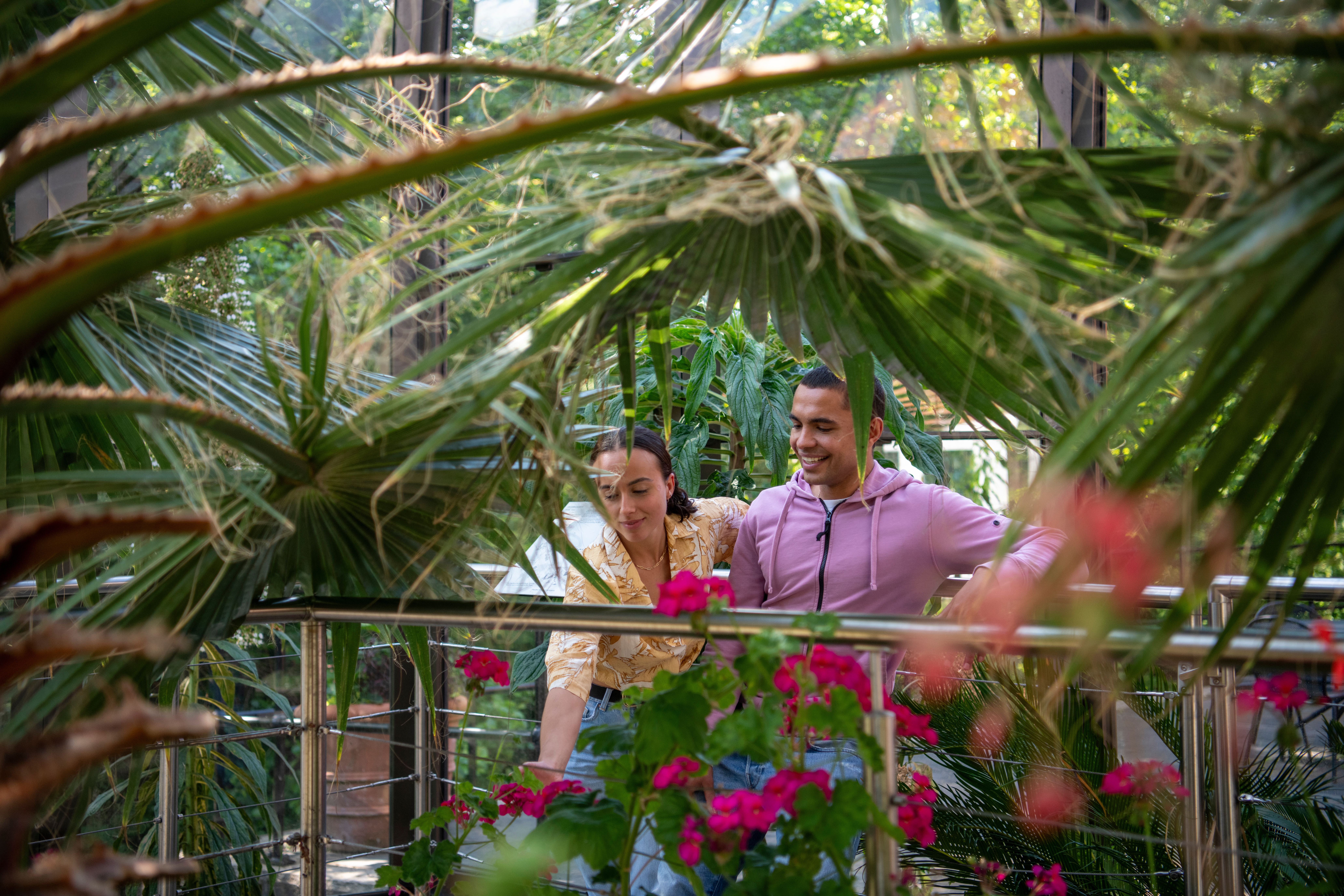 Glasshouses-036.jpg