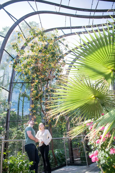 Glasshouses-044.jpg