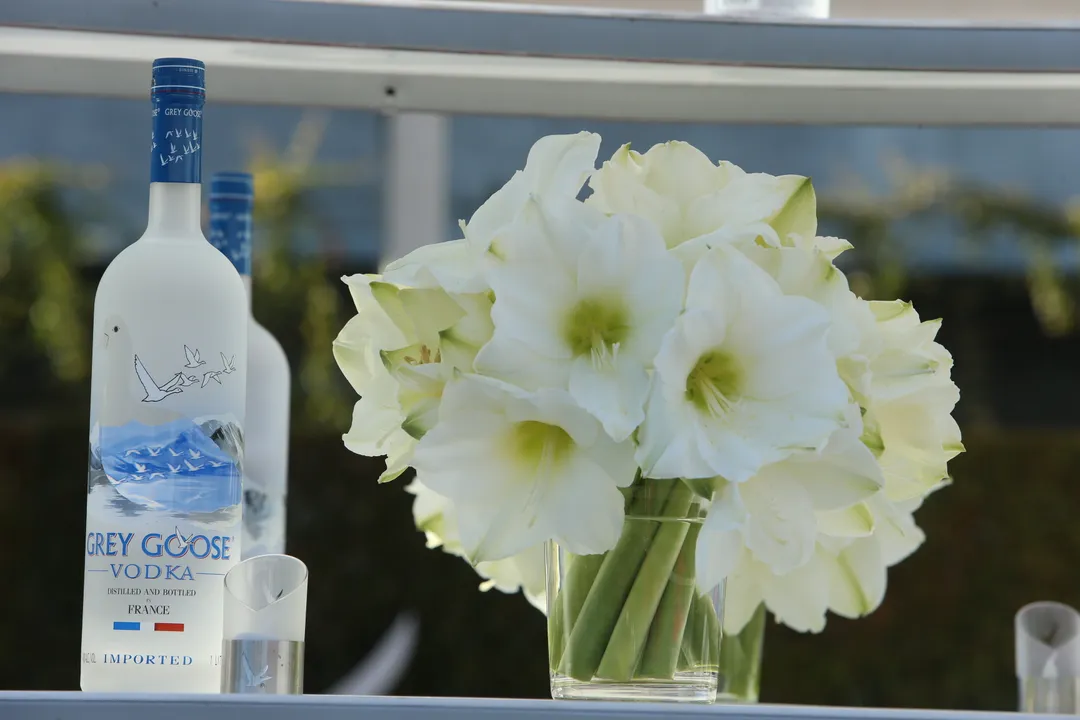 GREY GOOSE CELEBRATED OSCARS AT THE ELTON JOHN ACADEMY AWARDS SCREENING PARTY