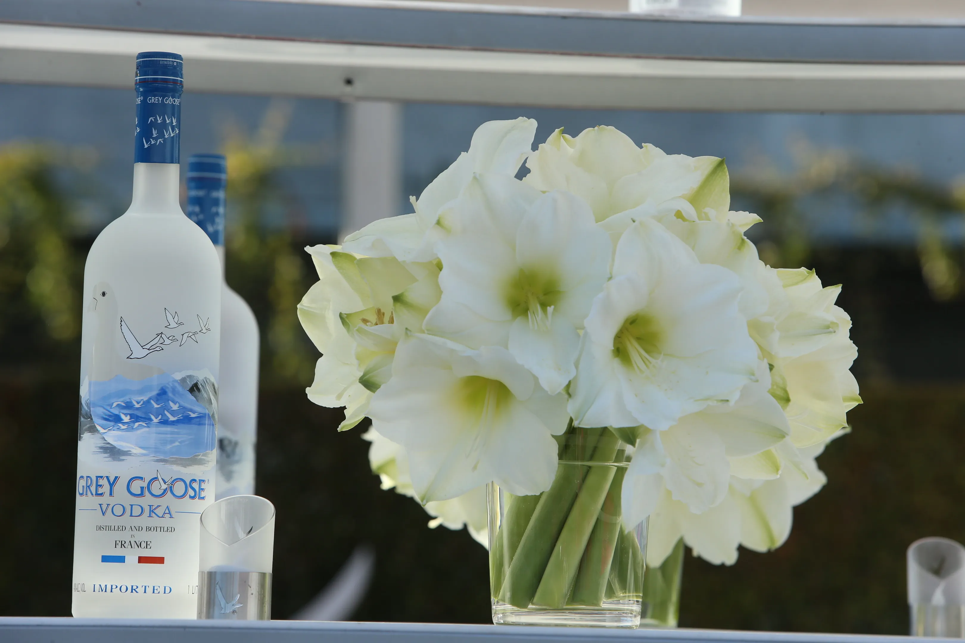 GREY GOOSE Celebrated Oscars at the Elton John Academy Awards Screening Party