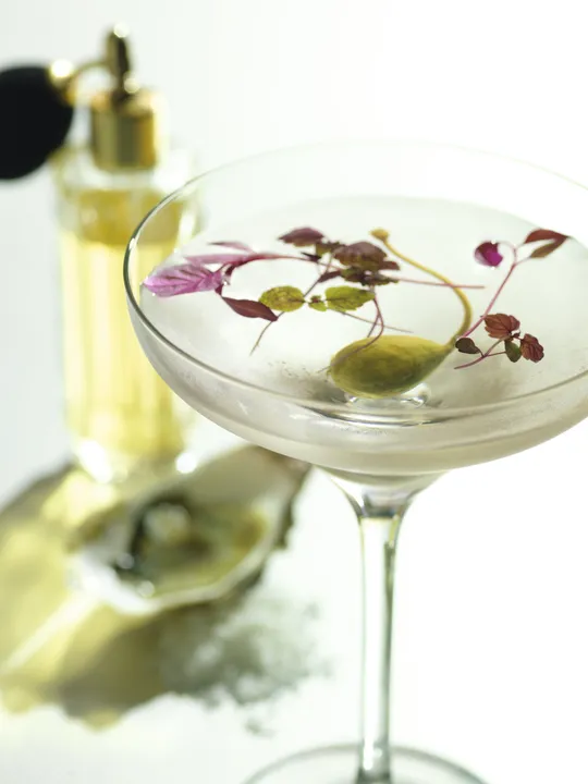 GREY GOOSE® CELEBRATES THOSE WHO FLY BEYOND WITH THE GREY GOOSE AWARDS SEASON COCKTAIL COLLECTION