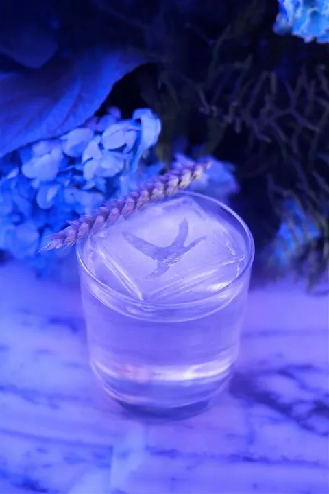 GREY GOOSE ALTIUS JASMIN.jpg